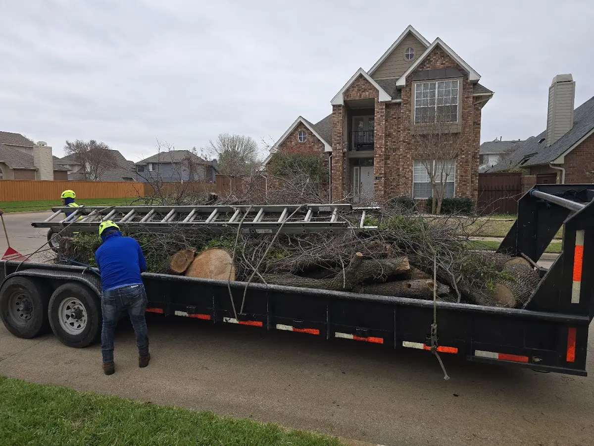 Expert Tree Removal with proper safety equipment in Dunnville